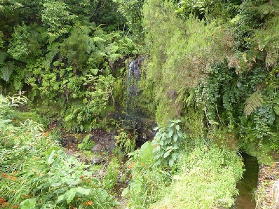 26 July 2013 Levadas de Cima and Achada Grande — On the Levada de Cima to the Madre — photo 28