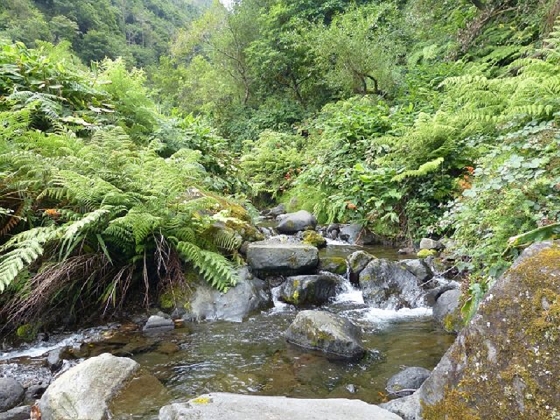 26 July 2013 Levadas de Cima and Achada Grande — On the Levada de Cima to the Madre — photo 32