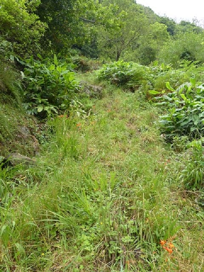 26 July 2013 Levadas de Cima and Achada Grande — Towards the Levada da Achada Grande and back to Rocadas — photo 1