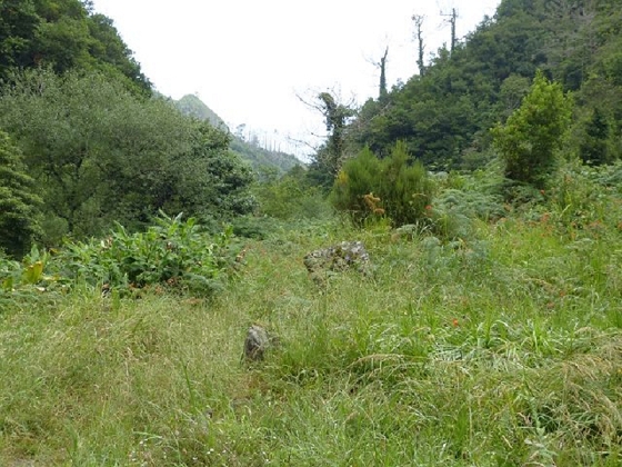 26 July 2013 Levadas de Cima and Achada Grande — Towards the Levada da Achada Grande and back to Rocadas — photo 3