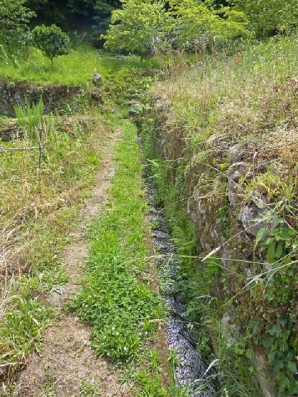 26 July 2013 Levadas de Cima and Achada Grande — On the Levada de Boaventura — photo 1