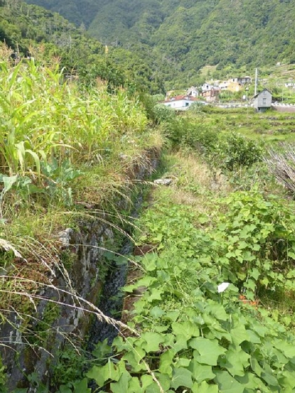 26 July 2013 Levadas de Cima and Achada Grande — On the Levada de Boaventura — photo 2