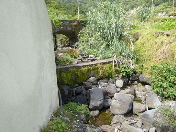26 July 2013 Levadas de Cima and Achada Grande — On the Levada de Boaventura — photo 5