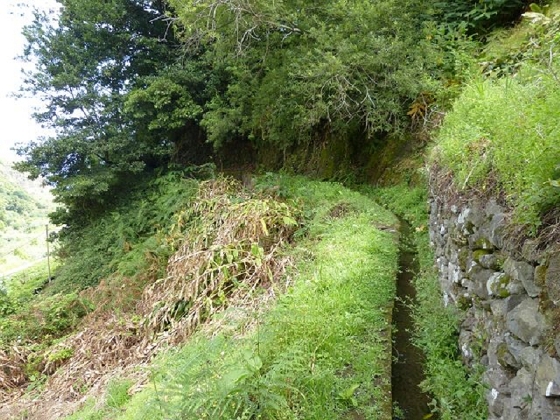 26 July 2013 Levadas de Cima and Achada Grande — On the Levada de Boaventura — photo 7