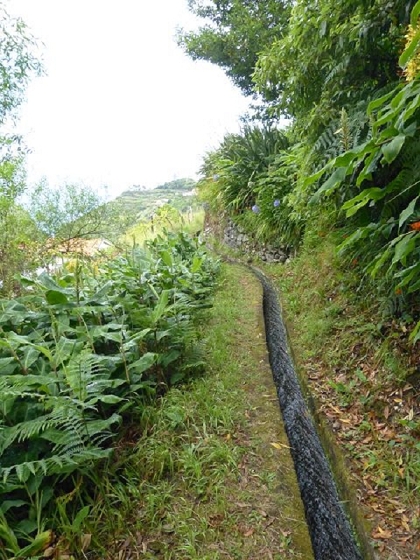 26 July 2013 Levadas de Cima and Achada Grande — On the Levada de Boaventura — photo 10
