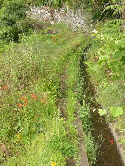26 July 2013 Levadas de Cima and Achada Grande — On the Levada de Cima to the Madre — photo 5