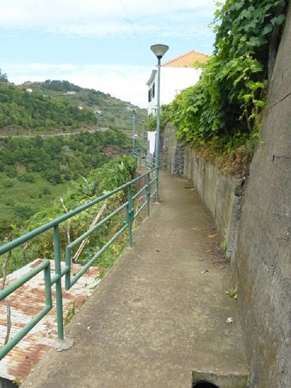 26 July 2013 Levadas de Cima and Achada Grande — On the Levada de Boaventura — photo 14