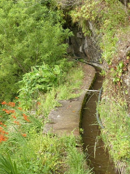 26 July 2013 Levadas de Cima and Achada Grande — On the Levada de Cima to the Madre — photo 6