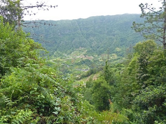 26 July 2013 Levadas de Cima and Achada Grande — On the Levada da Achada Grande to the Madre and back — photo 3
