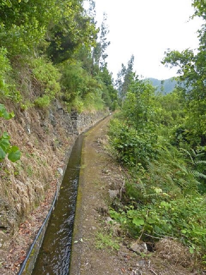 26 July 2013 Levadas de Cima and Achada Grande — On the Levada da Achada Grande to the Madre and back — photo 4