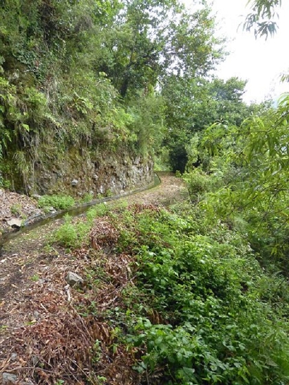 26 July 2013 Levadas de Cima and Achada Grande — On the Levada da Achada Grande to the Madre and back — photo 5