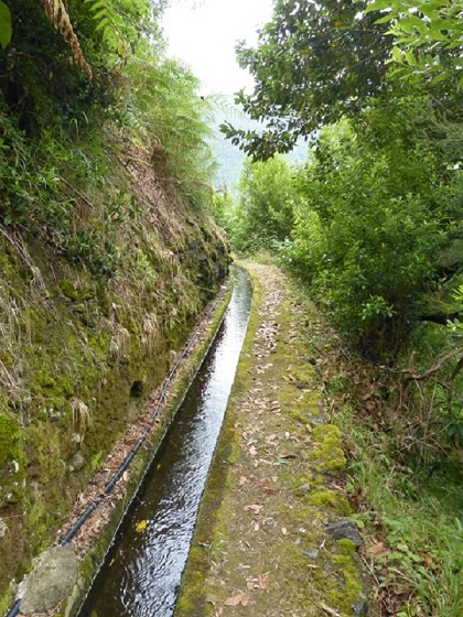 26 July 2013 Levadas de Cima and Achada Grande — On the Levada da Achada Grande to the Madre and back — photo 6