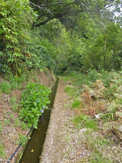 26 July 2013 Levadas de Cima and Achada Grande — On the Levada da Achada Grande to the Madre and back — photo 7