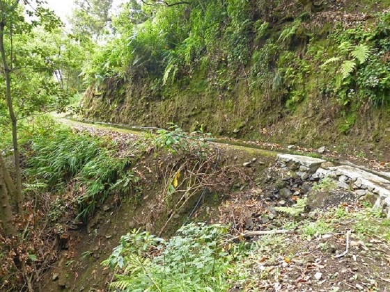 26 July 2013 Levadas de Cima and Achada Grande — On the Levada da Achada Grande to the Madre and back — photo 8