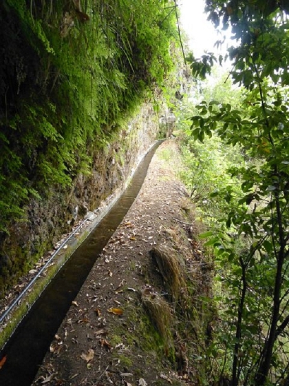 26 July 2013 Levadas de Cima and Achada Grande — On the Levada da Achada Grande to the Madre and back — photo 9