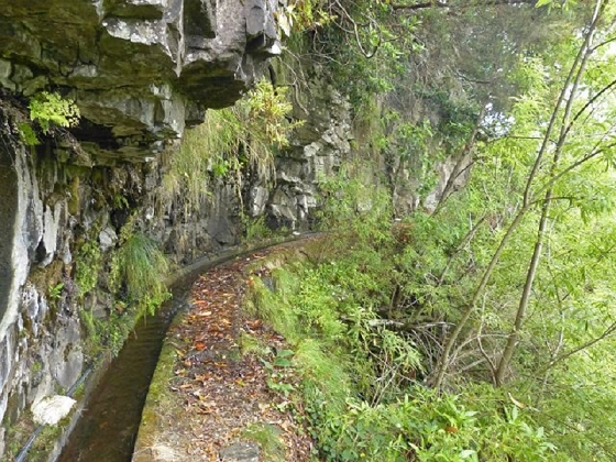 26 July 2013 Levadas de Cima and Achada Grande — On the Levada da Achada Grande to the Madre and back — photo 10