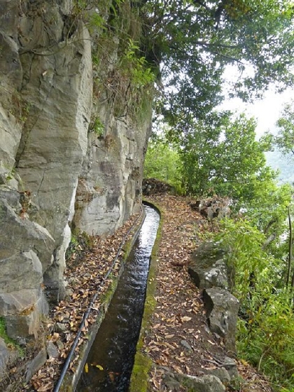 26 July 2013 Levadas de Cima and Achada Grande — On the Levada da Achada Grande to the Madre and back — photo 11