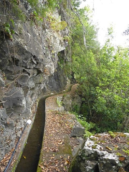 26 July 2013 Levadas de Cima and Achada Grande — On the Levada da Achada Grande to the Madre and back — photo 12