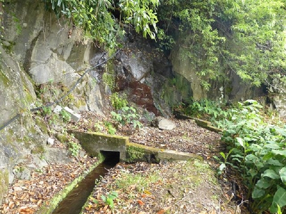 26 July 2013 Levadas de Cima and Achada Grande — On the Levada da Achada Grande to the Madre and back — photo 13