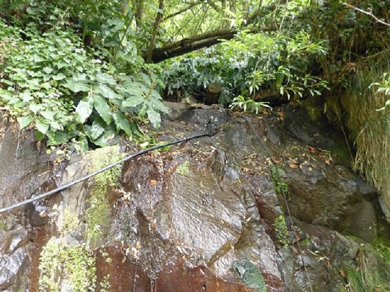 26 July 2013 Levadas de Cima and Achada Grande — On the Levada da Achada Grande to the Madre and back — photo 14