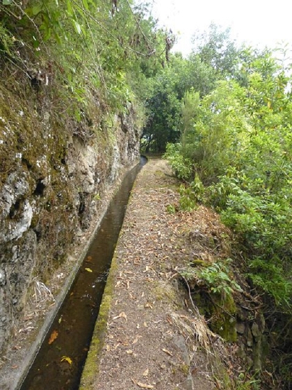 26 July 2013 Levadas de Cima and Achada Grande — On the Levada da Achada Grande to the Madre and back — photo 16