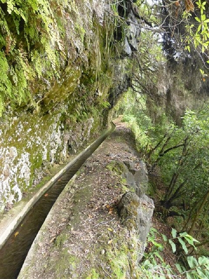 26 July 2013 Levadas de Cima and Achada Grande — On the Levada da Achada Grande to the Madre and back — photo 17
