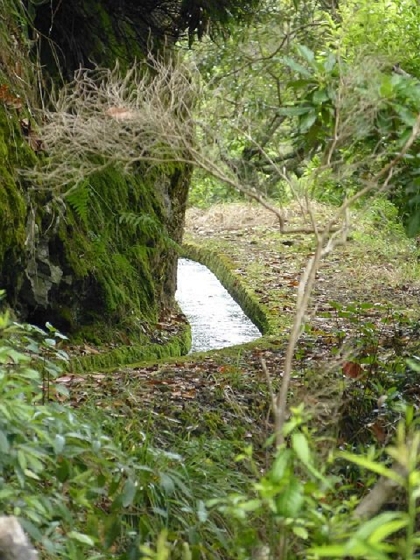 26 July 2013 Levadas de Cima and Achada Grande — On the Levada da Achada Grande to the Madre and back — photo 19