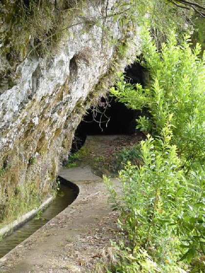 26 July 2013 Levadas de Cima and Achada Grande — On the Levada da Achada Grande to the Madre and back — photo 20