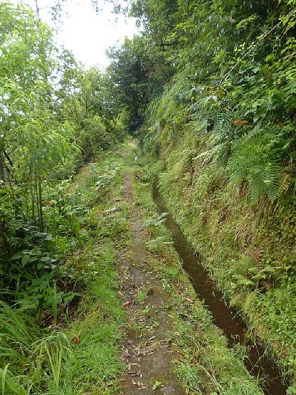 26 July 2013 Levadas de Cima and Achada Grande — On the Levada de Cima to the Madre — photo 8