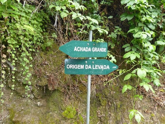 26 July 2013 Levadas de Cima and Achada Grande — On the Levada da Achada Grande to the Madre and back — photo 22