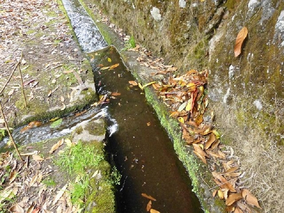 26 July 2013 Levadas de Cima and Achada Grande — On the Levada da Achada Grande to the Madre and back — photo 23