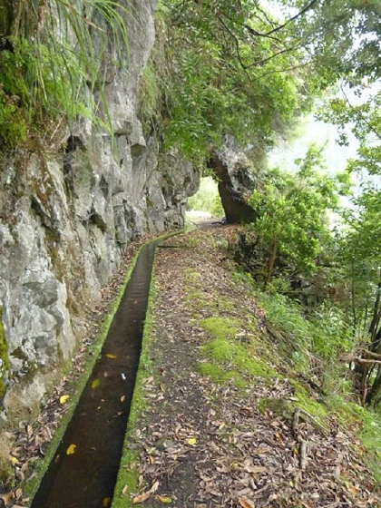26 July 2013 Levadas de Cima and Achada Grande — On the Levada da Achada Grande to the Madre and back — photo 24