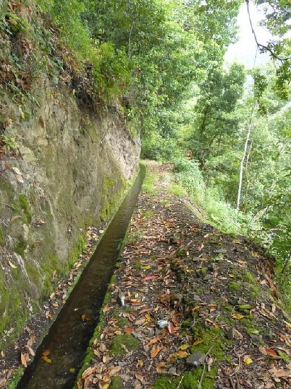 26 July 2013 Levadas de Cima and Achada Grande — On the Levada da Achada Grande to the Madre and back — photo 25