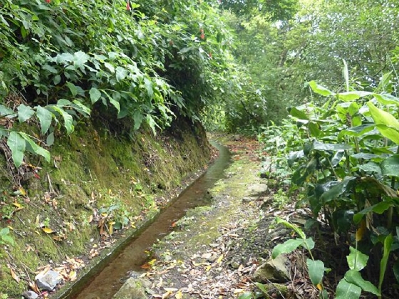 26 July 2013 Levadas de Cima and Achada Grande — On the Levada da Achada Grande to the Madre and back — photo 26