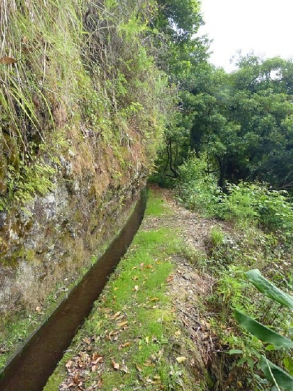 26 July 2013 Levadas de Cima and Achada Grande — On the Levada da Achada Grande to the Madre and back — photo 27