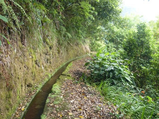 26 July 2013 Levadas de Cima and Achada Grande — On the Levada da Achada Grande to the Madre and back — photo 28