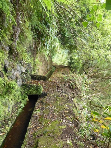 26 July 2013 Levadas de Cima and Achada Grande — On the Levada da Achada Grande to the Madre and back — photo 29