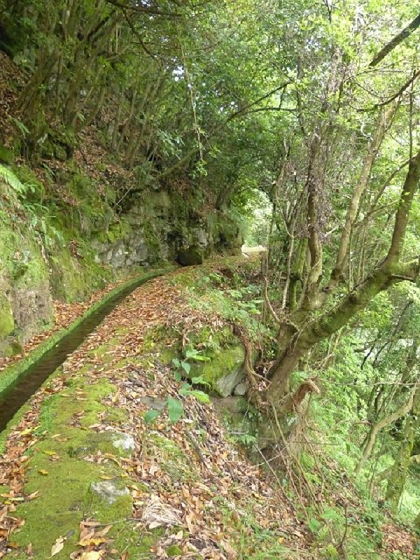 26 July 2013 Levadas de Cima and Achada Grande — On the Levada da Achada Grande to the Madre and back — photo 30