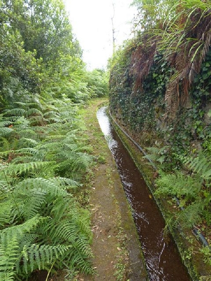 26 July 2013 Levadas de Cima and Achada Grande — On the Levada de Cima to the Madre — photo 9