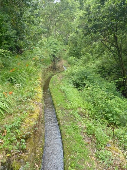 26 July 2013 Levadas de Cima and Achada Grande — On the Levada da Achada Grande to the Madre and back — photo 31