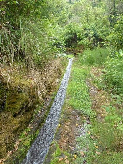26 July 2013 Levadas de Cima and Achada Grande — On the Levada da Achada Grande to the Madre and back — photo 32