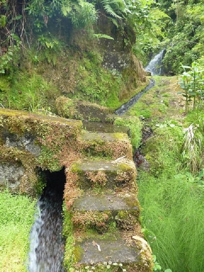 26 July 2013 Levadas de Cima and Achada Grande — On the Levada da Achada Grande to the Madre and back — photo 33