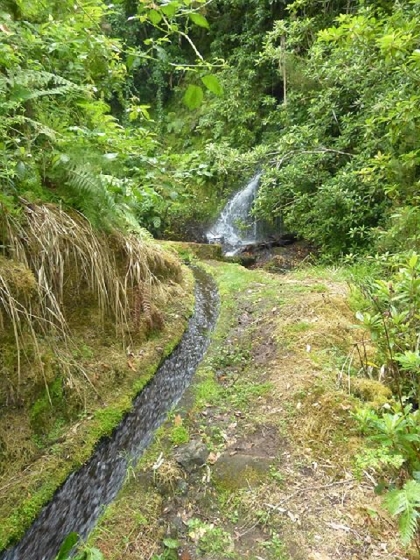 26 July 2013 Levadas de Cima and Achada Grande — On the Levada da Achada Grande to the Madre and back — photo 34