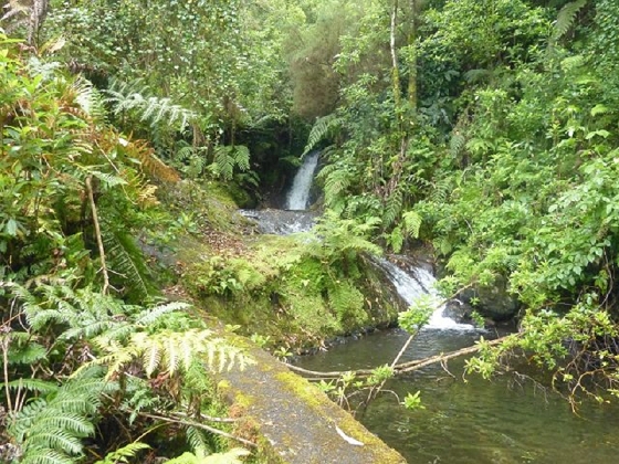 26 July 2013 Levadas de Cima and Achada Grande — On the Levada da Achada Grande to the Madre and back — photo 35