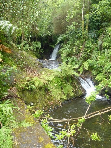 26 July 2013 Levadas de Cima and Achada Grande — On the Levada da Achada Grande to the Madre and back — photo 37