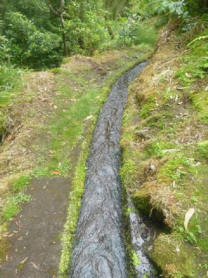 26 July 2013 Levadas de Cima and Achada Grande — On the Levada da Achada Grande to the Madre and back — photo 38