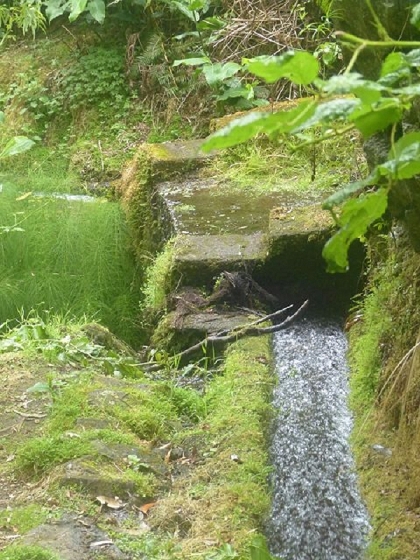 26 July 2013 Levadas de Cima and Achada Grande — On the Levada da Achada Grande to the Madre and back — photo 40