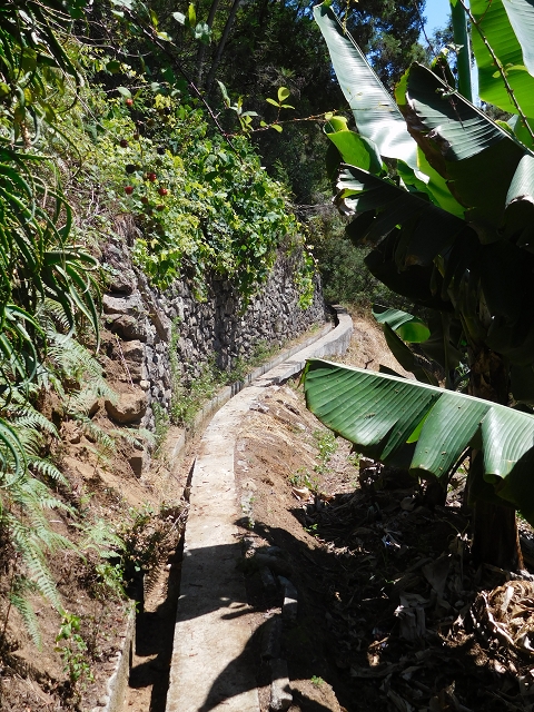26 de julho de 2015 Penha de Aguia — A entrada — foto 7