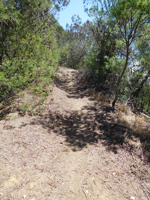 26 de julho de 2015 Penha de Aguia — A subida — foto 1