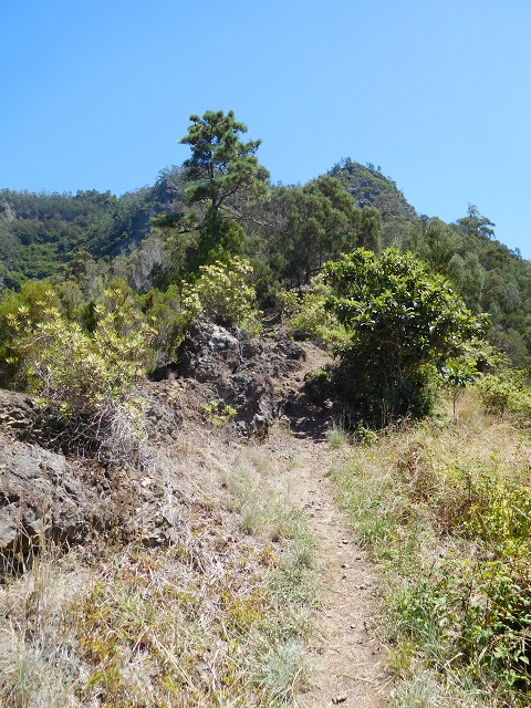 26 de julho de 2015 Penha de Aguia — A subida — foto 3